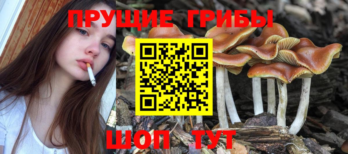 купить наркотик  Галлюциногенные грибы Cubensis  Междуреченск  Вход с VPN  Галлюциногенные грибы мухоморы 