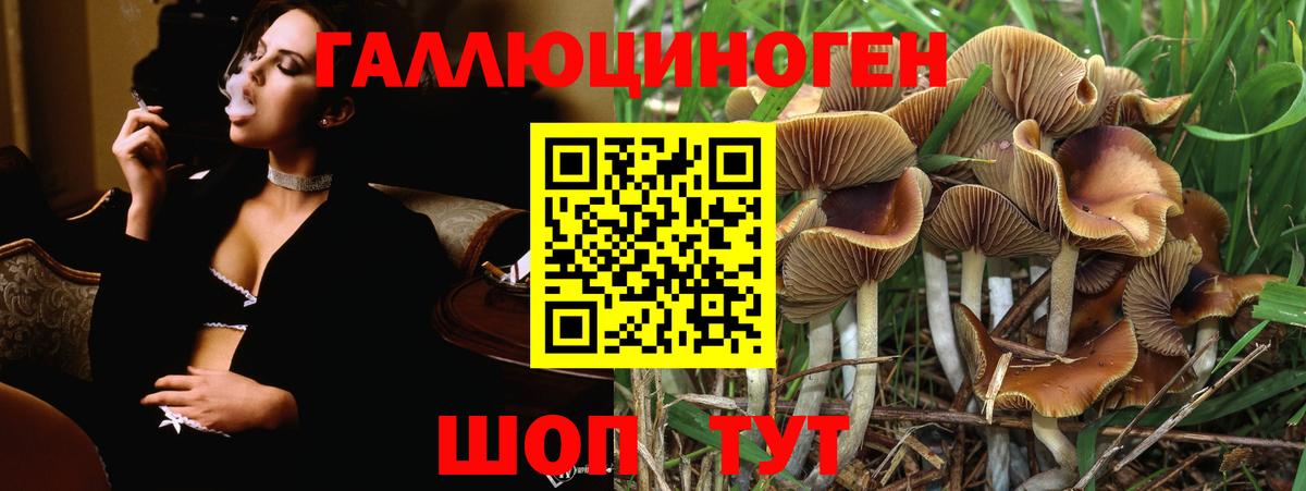 Псилоцибиновые грибы MAGIC MUSHROOMS Междуреченск